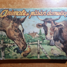 carte cartonata pliabila - animale si pasari domestice - din anii '60 - '70