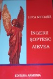 INGERII SOPTESC AIEVEA LUCA NICOARA
