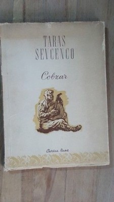 Cobzar- Taras Sevcenco foto