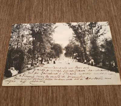 Carte Poștală Veche &amp;ndash; Forsyth Park Savannah, Expediată SUA&amp;ndash;Ungaria, Timbre și Ștampile de Epocă, posibil perioada 1906 foto