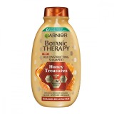 Sampon pentru par deteriorat cu tendinta de rupere Honey Treasures, 400ml, Botanic Therapy