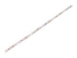Bandă LED Alb Neutru 12V IP65