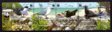 PITCAIRN 2007, Fauna, Pasari, WWF, serie neuzata, MNH