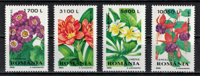 ROMANIA 2004 - Flori / serie completa MNH foto