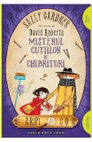 Misterul Cutiilor De Chibrituri, Sally Gardner, David Roberts - Editura Art