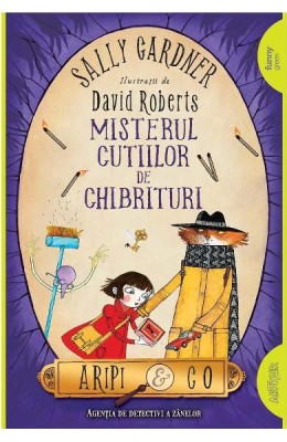 Misterul Cutiilor De Chibrituri, Sally Gardner, David Roberts - Editura Art foto