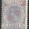 Eroare / varietate CAROL I Spic de grau 1903 MLH