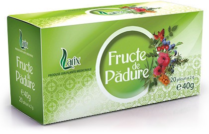 FRUCTE PADURE 20DZX2GR