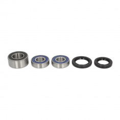 Kit Rulmenti Garnituri Roata Spate All Balls Honda AB25-1658