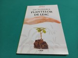 DICȚIONARUL PLANTELOR DE LEAC * 2008 * 6