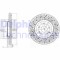 Delphi Disc frana