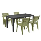 Alison 4+1 set mobilier de grădină grafit-cedar verde