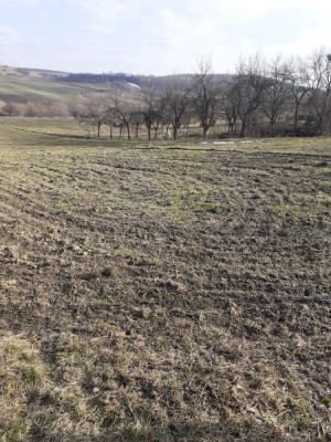 Teren intravilan foto