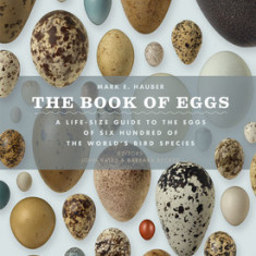 The Book of Eggs: A Lifesize Guide to the Eggs of Six Hundred of the World's Bird Species