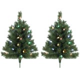 HOMCOM Brad de Crăciun iluminat 60 cm, set de 2, artificial, cu 60 LED-uri colorate, 130 v&acirc;rfuri de crenguțe, verde | Aosom Romania