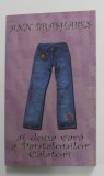 CEA DE -A DOUA VARA A PANTALONILOR CALATORI de ANN BRASHARES , 2005
