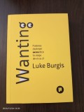 Luke Burgis - Wanting. Puterea dorintei mimetice in viata de zi cu zi