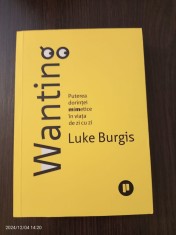 Luke Burgis - Wanting. Puterea dorintei mimetice in viata de zi cu zi foto