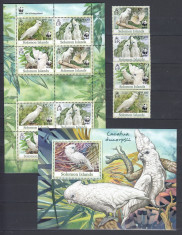 Solomon Islands - Fauna WWF - PASARI - MNH foto