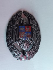 QW9 N5 13 - insigna - tematica militara - absolvire Academia militara tehnica
