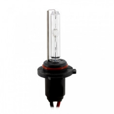 Bec Xenon H10-4300K - CARGUARD BX-H10-4300K foto