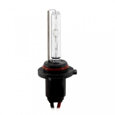 Bec Xenon H10-4300K - CARGUARD Best CarHome foto