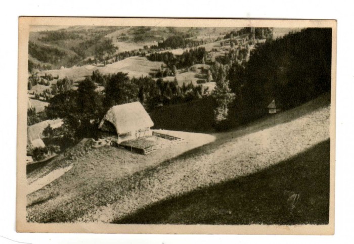 PEISAJ DIN MUNTII APUSENI RPR IPI 946