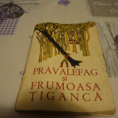 Pravalefag si Frumoasa tiganca - Povesti cehe - 1962- Traista cu povesti