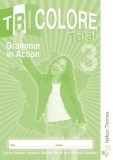 Tricolore Total 3 | H Mascie-Taylor, Michael Spencer
