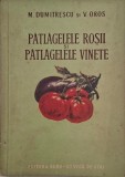 Patlagelele rosii si patlagelele vinete - Mihail Dumitrescu, Victor Oros