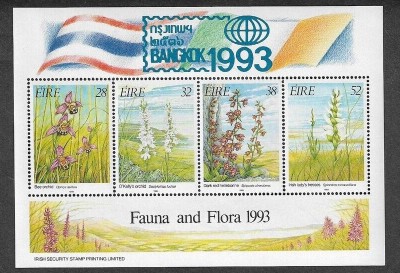 Irlanda 1993 - Flori, flora, Expo Bangkok, bloc neuzat foto