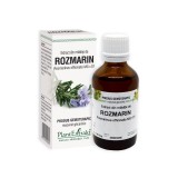 Extract din mladite de Rozmarin, 50 ml, Plant Extrakt