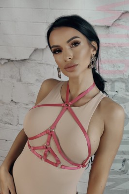 BRA281RR-55 Lenjerie tip ham fetish din benzi elastice reglabile foto