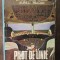 PILOT DE LINIE-AUREL RAICAN