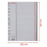 Index plastic Esselte A4 index 1-31