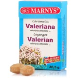 Bomboane cu Valeriana pentru Combaterea Stresului si Anxietatii 36.5g