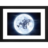 Poster cu Rama One Piece - Nika (30x40)