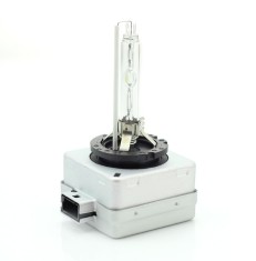 Bec Auto Xenon CARGUARD D1S 6000K