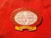 Insigna Vietnam 1964 - Conferinta Internationala cu poporul vietnamez , impotriva invaziei SUA. Protejarea Pacii , dim.=3,3x2,5cm