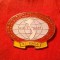 Insigna Vietnam 1964 - Conferinta Internationala cu poporul vietnamez , impotriva invaziei SUA. Protejarea Pacii , dim.=3,3x2,5cm