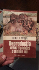 REPRODUCTIA NORMALA SI PATOLOGICA LA ANIMALELE MICI-FILEA I.IVANA foto