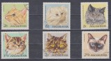 A12 S4 7 - Timbre foarte vechi - Ungaria - pisici de rasa, Fauna, Stampilat