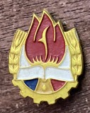QW9 N9 74 - Insigna - tematica pionieri - Stema pionierilor - varianta mica - 2,3/1.8 cm