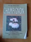 CHAMPIGNON. Tehnologia de cultura Dr.ing. Ioana Tudor