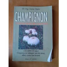 CHAMPIGNON. Tehnologia de cultura Dr.ing. Ioana Tudor