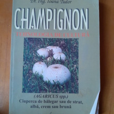 CHAMPIGNON. Tehnologia de cultura Dr.ing. Ioana Tudor