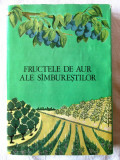 &quot;FRUCTELE DE AUR ALE SIMBURESTILOR [SAMBURESTILOR]&quot;, Ionita Nicolaescu, 1983