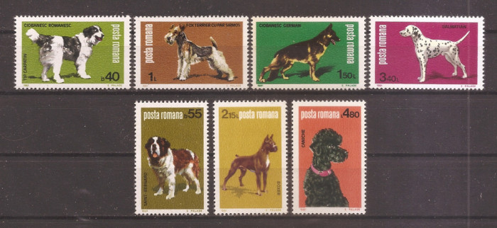 Rom&acirc;nia 1981 - LP 1024, Expoziţia Naţională Canină, MNH