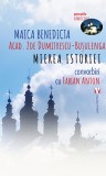 Mierea istoriei. Convorbiri cu Fabian Anton - Editura Vremea