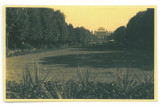 5357 - BUCURESTI, Carol Park, Romania - old postcard, real PHOTO - unused, Necirculata, Fotografie